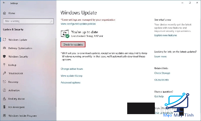 Cách cập nhật Win 10 bản mới nhất bằng Windows Update