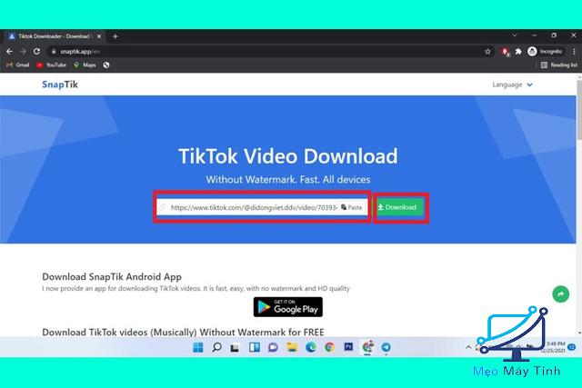 Dùng Snaptikk.app tải video TikTok về máy tính bước 2
